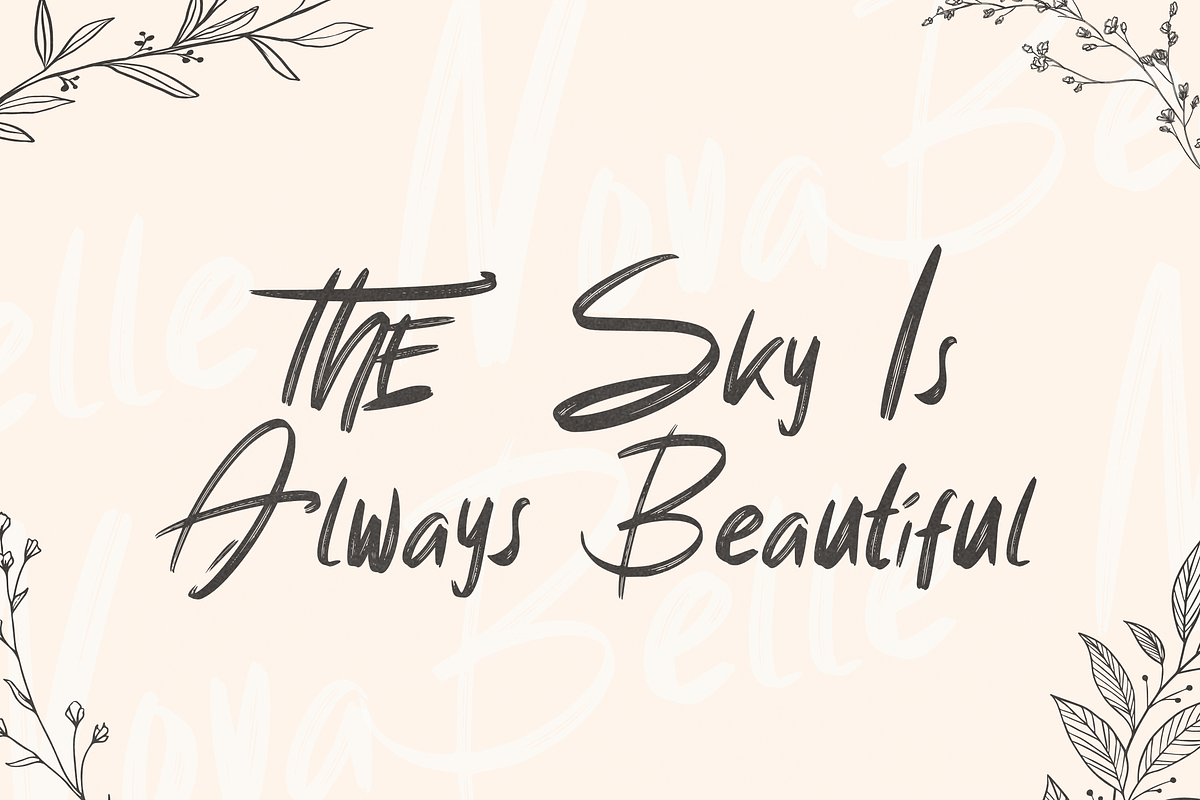 Belle Nova - Stylish Brush Font, a Handwritten Font by Dm Studio (Photo 2 of 10)