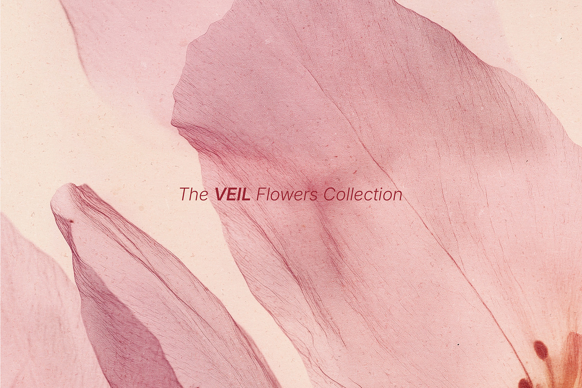 VEIL Flowers Collection, a Background Graphic by nkate (Photo 13 of 13)