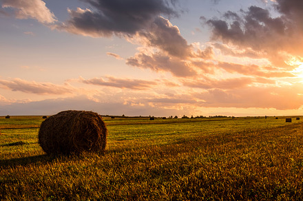 Golden sunset rolling field with hay bales. Panoramic farm lands, a Nature Photo by Eugene_Photo