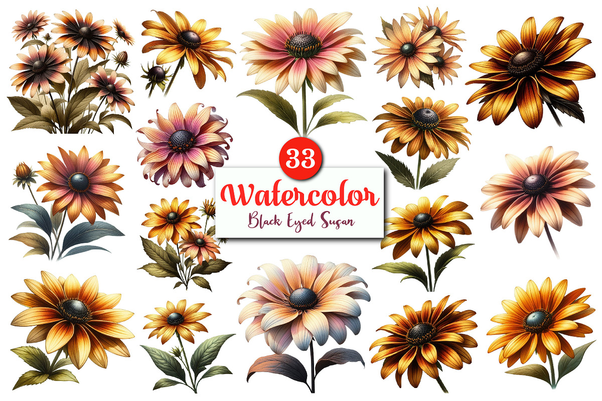 Black Eyed Susan Clipart Bundle., a Graphic by CitraGraphics (Photo 1 of 4)