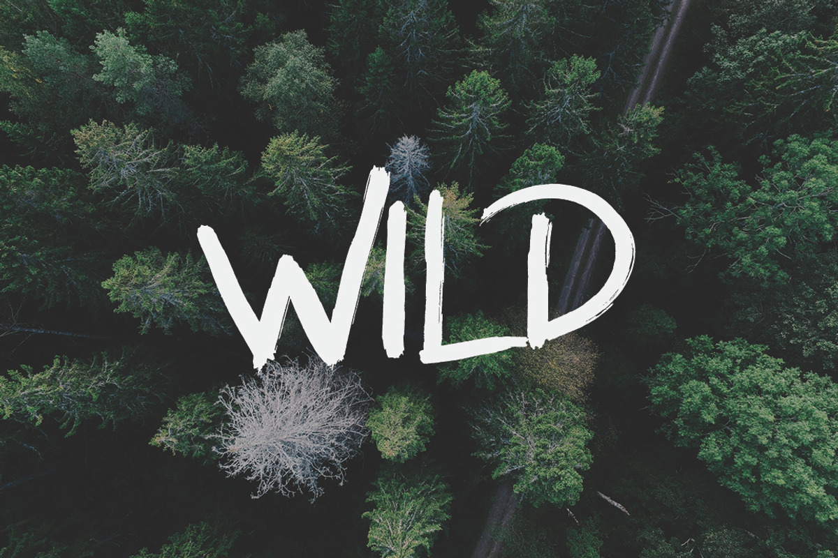 Rockwild preview 5