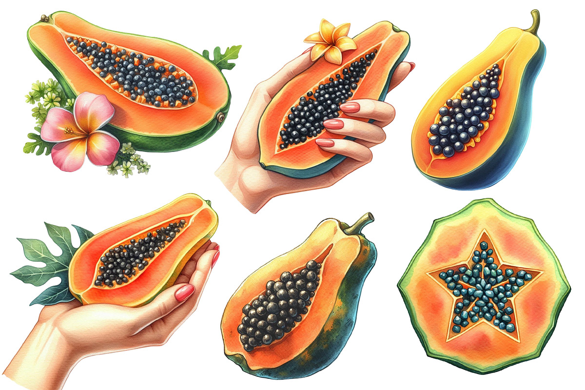 Watercolor Papaya Fruit Clipart, an Illustration by Designworld (Photo 4 of 6)
