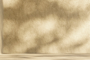 Concrete wall background leaf shade, an Architecture Photo by hitdelight