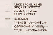 Neraphic A Modern Serif Font, a Serif Font by Storytype Studio (Thumbnail 13 of 15)