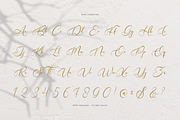 Velocity Romantica Calligraphy Font, a Script Font by Denustudios (Thumbnail 10 of 12)