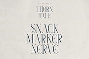 Thorn & Tale – A Refined Serif Font, a Serif Font by VP Fonts (Thumbnail 21 of 30)