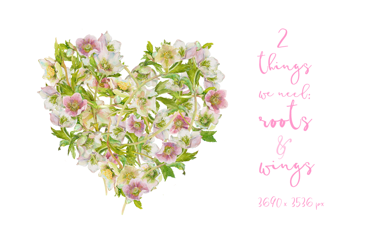 Hearts-watercolor-Hellebore, an Illustration by watercolorwild.graphics (Photo 4 of 19)