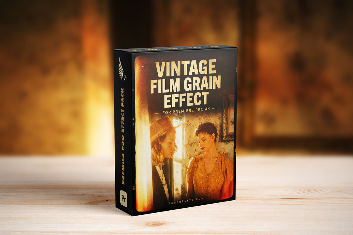 Vintage Film Grain Premiere Pro, a Plug-in Add-On by AAA Presets (Photo 2 of 3)