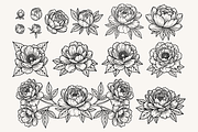 Peony Flower Line Art Illustration, a Decorative Illustration by Kusumaillustration (Thumbnail 3 of 15)