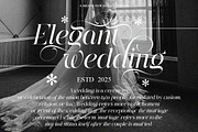The Eliven Editorial | 7 Font Style, a Serif Font by IM Studio (Thumbnail 3 of 15)