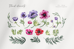 Watercolor Anemone Flowers