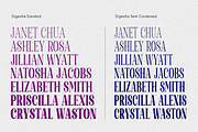 Gigestha Modern Serif (70 Fonts), a Serif Font by MjStudio31 (Thumbnail 11 of 14)