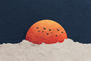 Sunset with birds flying in the sky, a Photo by Beautiful things