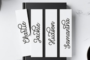 Nebraska Bridge - Monoline Cursive, a Script Font by Airotype (Thumbnail 4 of 13)