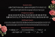 Fortunella - Modern Serif, a Font by HIRO.std (Thumbnail 9 of 9)