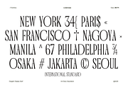 Ferdinos, a Serif Font by Dora Typefoundry (Thumbnail 14 of 14)