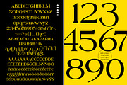 Magode Collection Modern Serif, a Serif Font by timelesstype.co (Thumbnail 10 of 10)