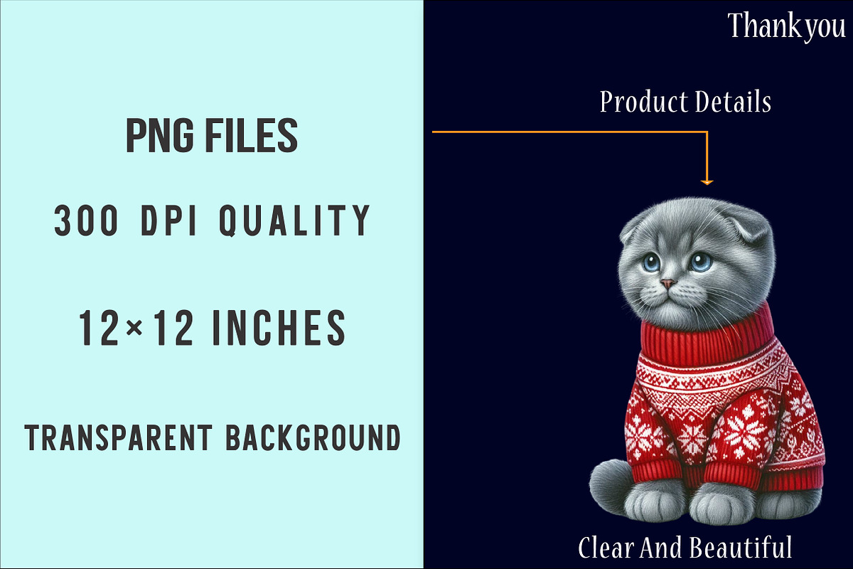 Christmas Scottish Cat Clipart PNG, an Illustration by SinaCreation (Photo 6 of 7)