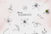 IN MY GARDEN line art florals, a Decorative Illustration by Yuliia Lashevska (Thumbnail 10 of 11)