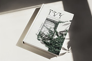 Magic Ivy. Botanical Font., a Serif Font by AnMark (Thumbnail 5 of 15)