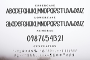 Pumpkin Fall, a Serif Font by FreshTypeINK (Thumbnail 2 of 6)
