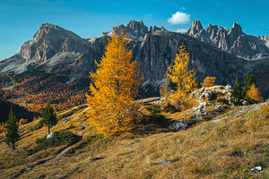 Beautiful view with autumn scenery, a Nature Photo by Alpine Dreams