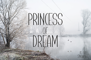 Jestran Font, a Sans Serif Font by ponuppo (Thumbnail 4 of 4)