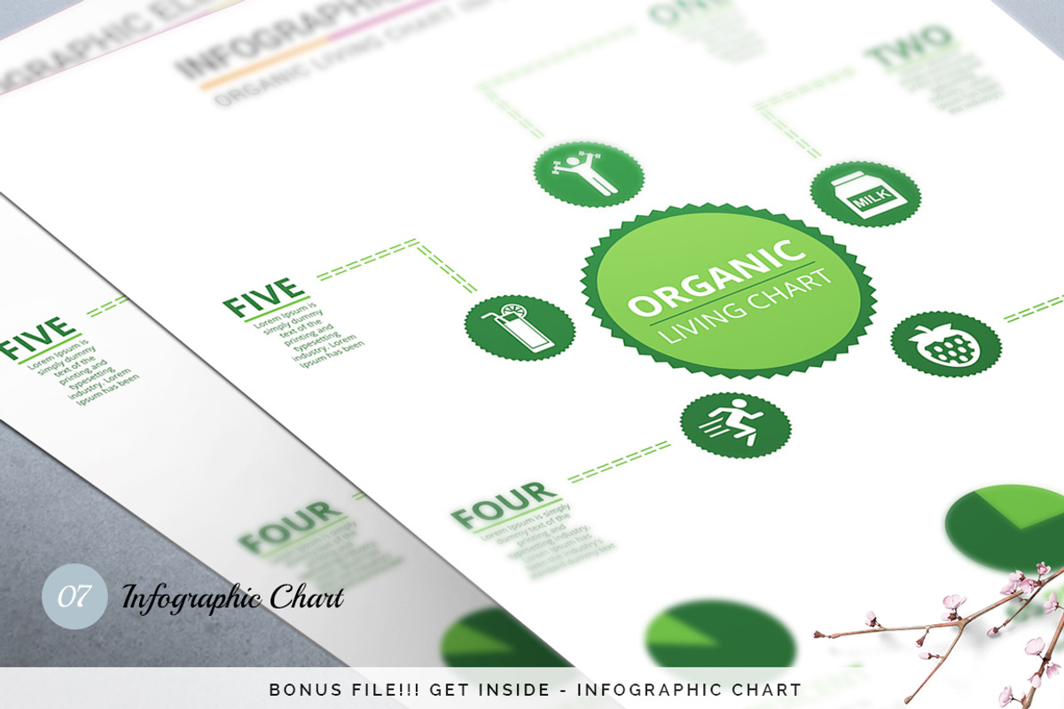 Olivia Multipurpose Pack + BONUS, a Brochure Template by Typography Prime (Photo 14 of 14)