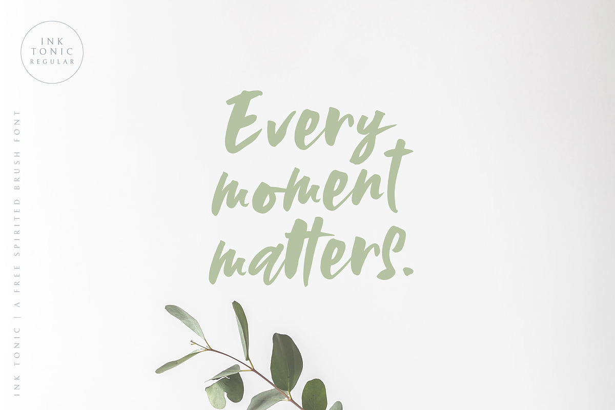 Ink Tonic | A SVG Brush Font, a Script Font by Ayca Atalay (Photo 16 of 21)