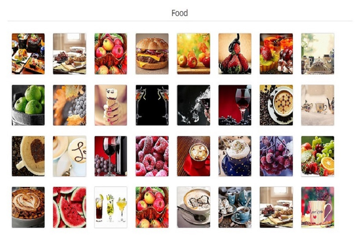 Flickr Album Gallery Pro, a Plug-in Add-On by Weblizar Themes & Plugin (Photo 5 of 5)
