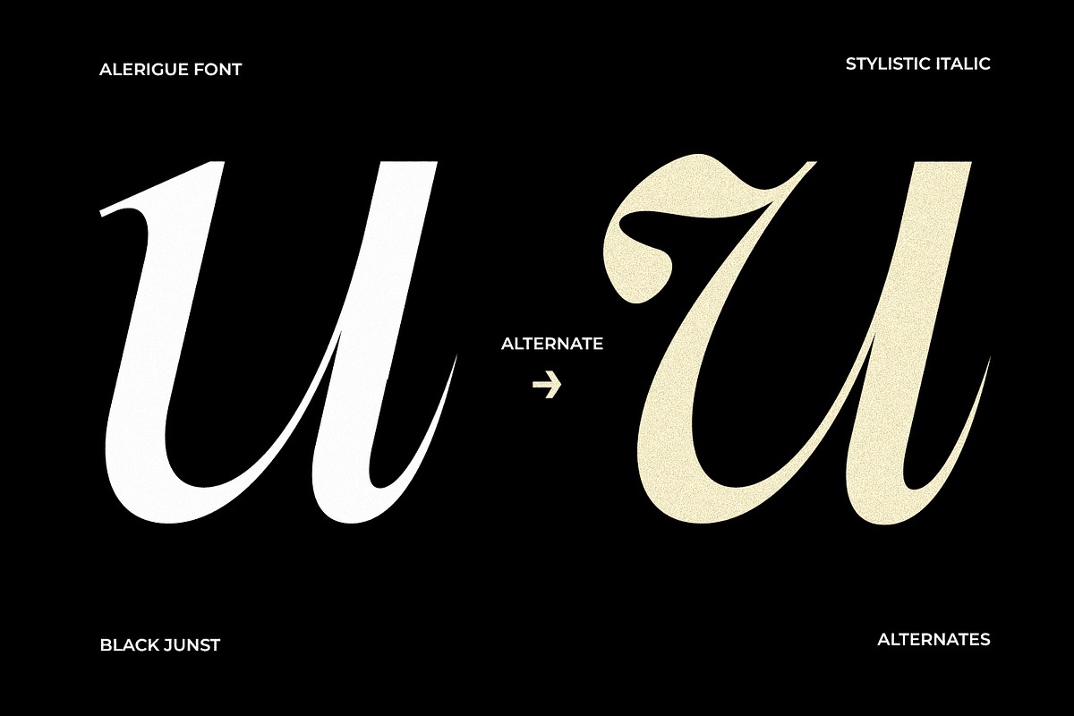 Alerigue — Editorial Serif Font, a Serif Font by Black Junst (Photo 8 of 16)