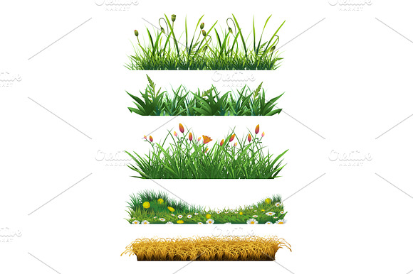 Grass Nature Field Vector Element