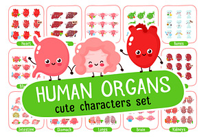 Cute human organs set