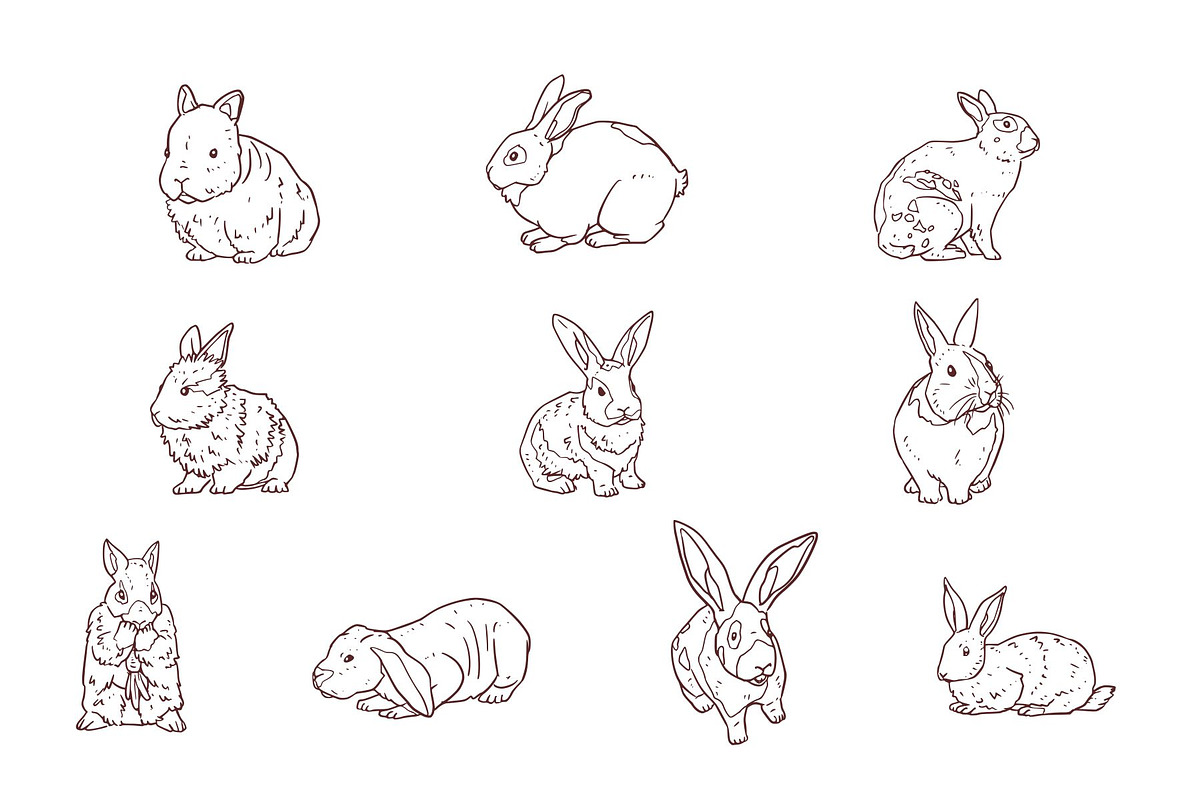 Breeds Rabbit Handdrawn Vol 2, an Animal Illustration by SLAB! Design (Photo 3 of 3)