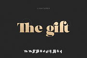 MADE Bruno, a Serif Font by MadeType (Thumbnail 8 of 19)