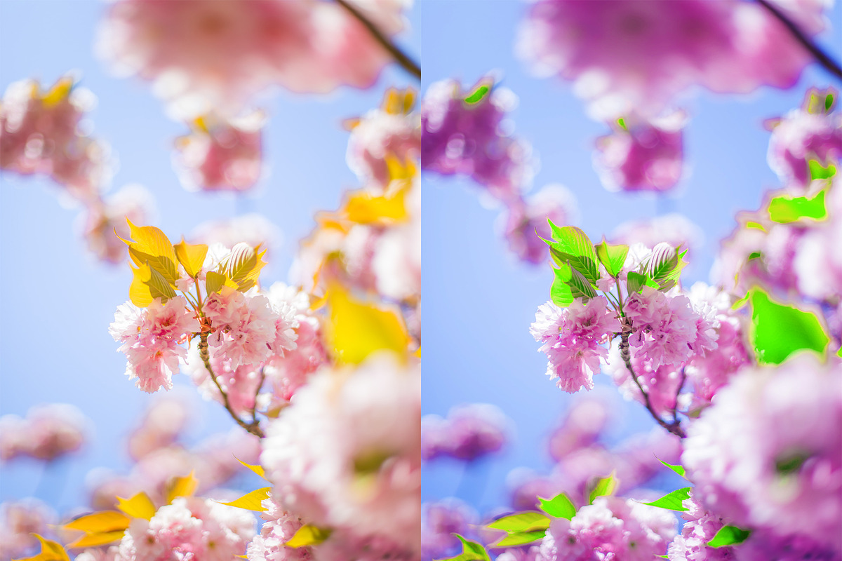 Spring Photoshop Actions, an Action Add-On by Bato (Photo 7 of 16)