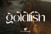 Goldfish - Elegant & Chic Sans Serif, a Sans Serif Font by subkulturetype (Thumbnail 1 of 8)