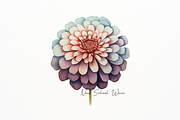 Vibrant Watercolor Zinnia Flower, a Decorative Illustration by New-School-Wave (Thumbnail 2 of 5)
