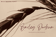 Westborn - Signature Style, a Script Font by Sronstudio (Thumbnail 6 of 18)