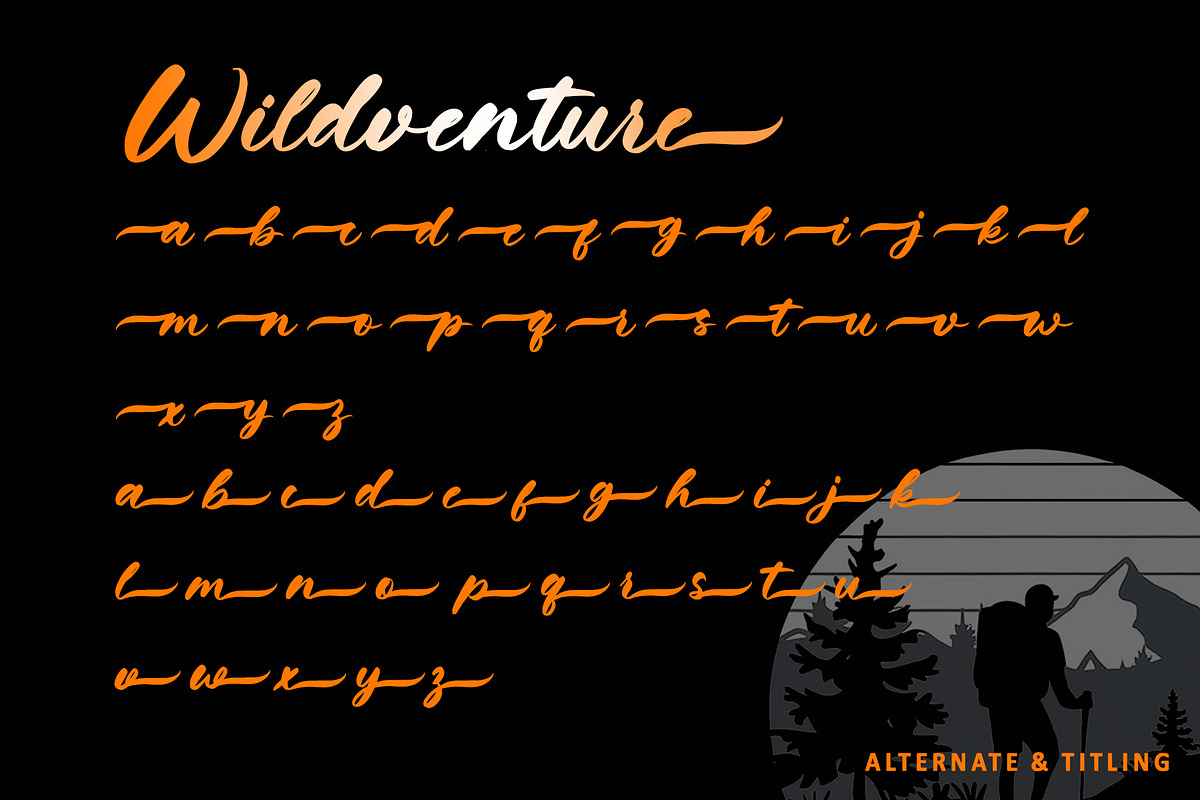Wildventure, a Handwritten Font by Letterara (Photo 8 of 10)