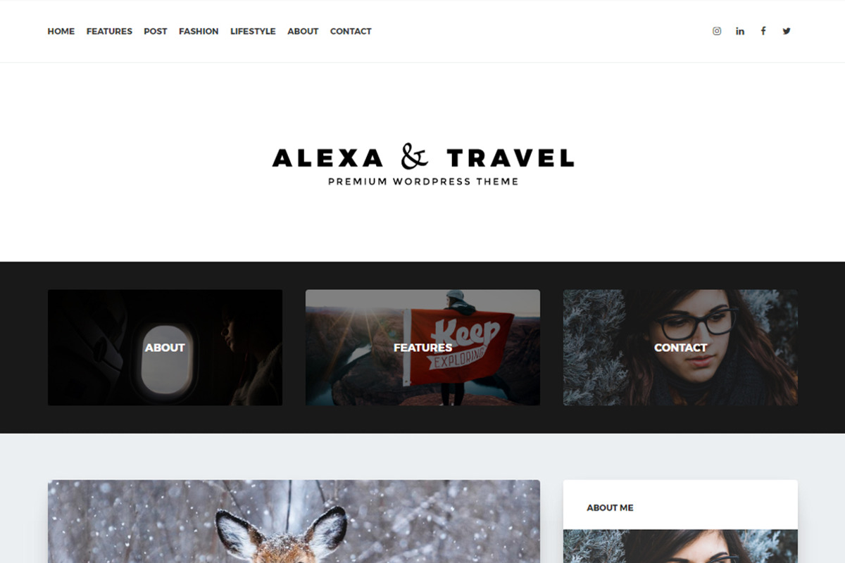 Alexa - Premium WordPress Blog Theme, a WordPress Template by ThemeBone (Photo 3 of 3)
