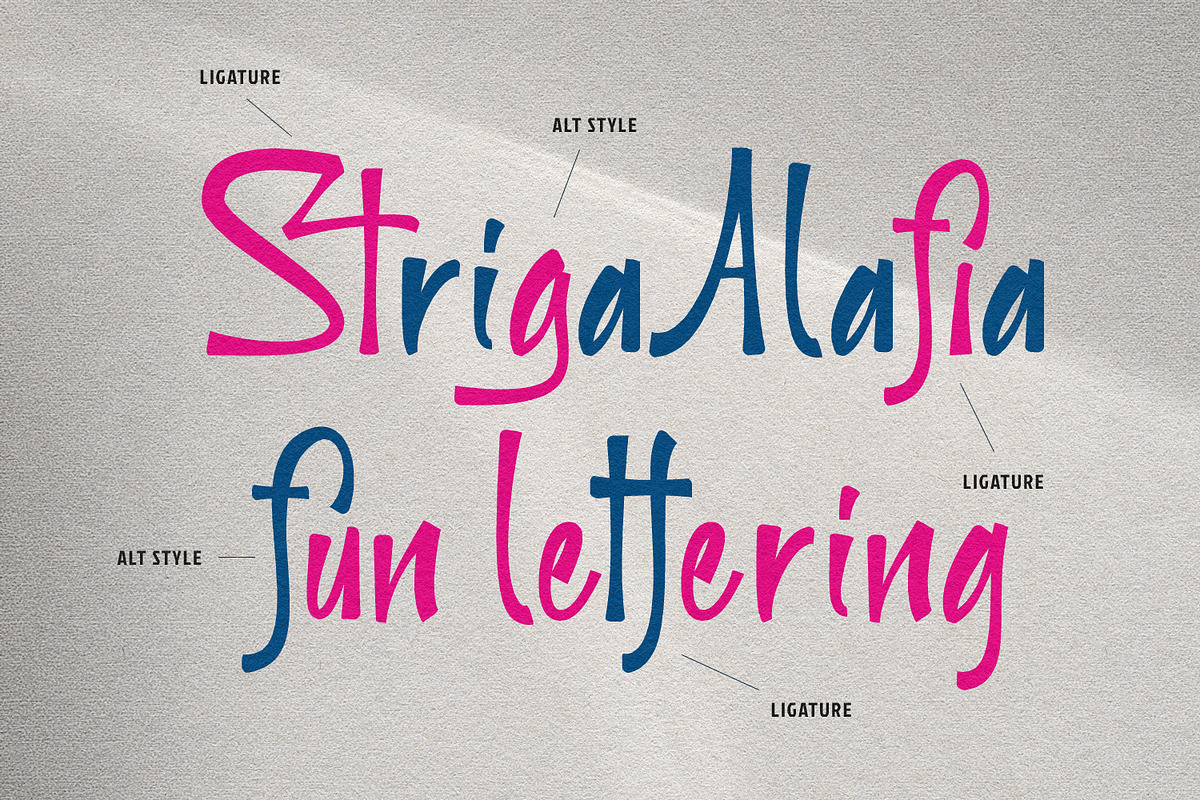 Striga Alafia Suitable Journaling, a Handwritten Font by Maulana Creative (Photo 6 of 7)
