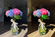 30 Flowers Lightroom Collection, a Preset Add-On by 3Motional (Thumbnail 5 of 11)