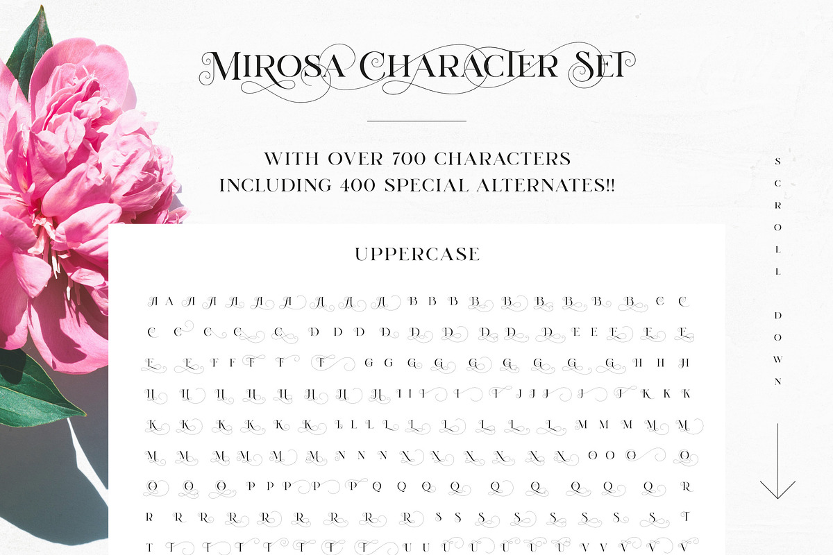 Mirosa Elegant Font, a Font by Heritage Type Co. (Photo 8 of 10)