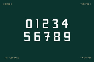 Rattlesnake - Vintage Serif Font