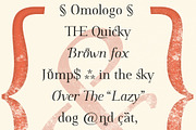 Omologo Serif Semi Stencil font, a Serif Font by Bellini studio (Thumbnail 13 of 13)