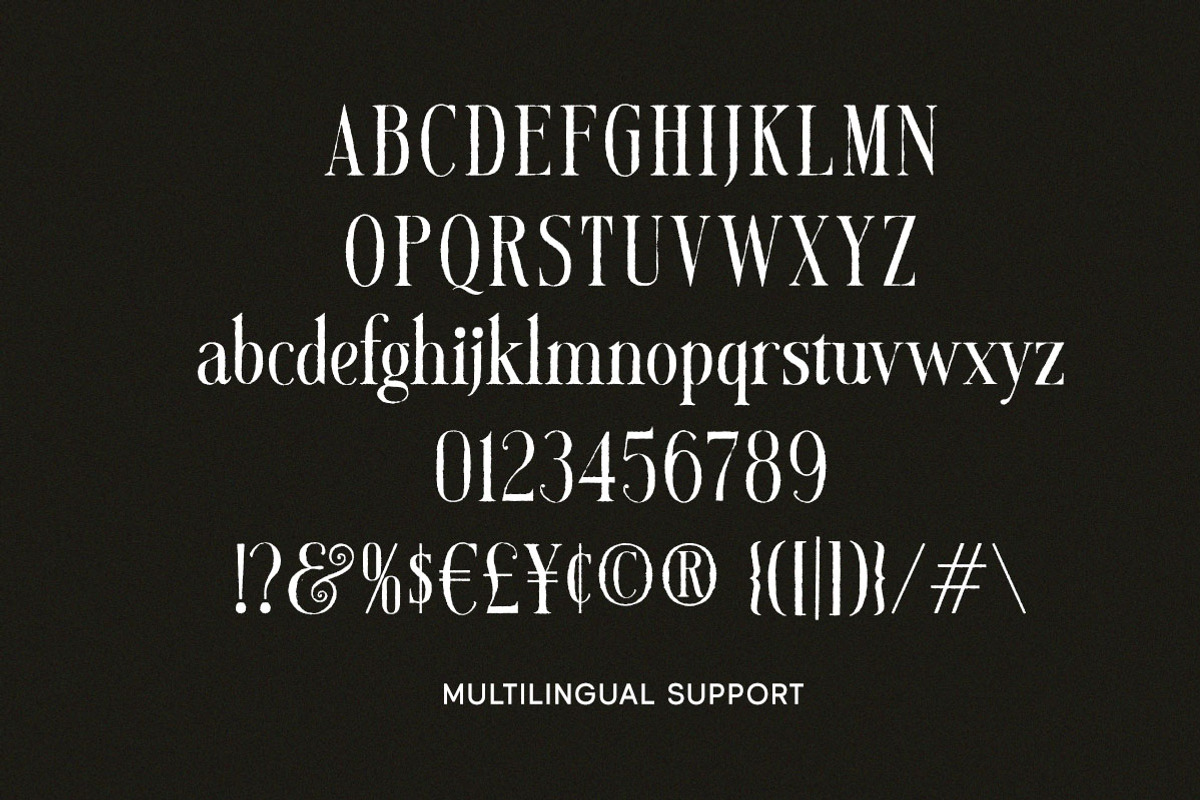 Mirellow White Distressed Serif, a Serif Font by Letterhend Studio (Photo 9 of 13)