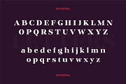 Glinde, a Serif Font by nurrontype (Thumbnail 8 of 12)