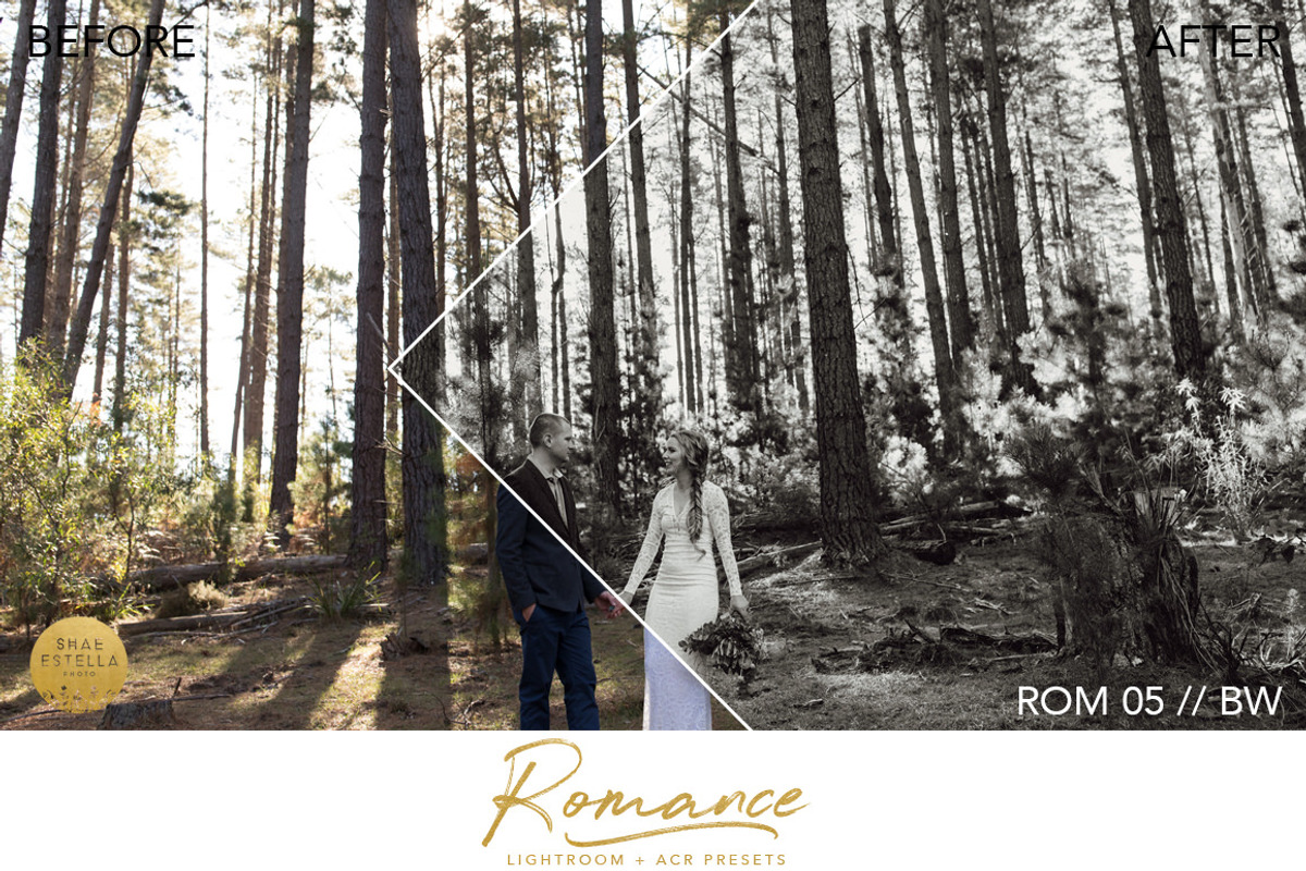 Perfect Wedding Presets, an Action Add-On by Shae Estella Photo (Photo 5 of 6)