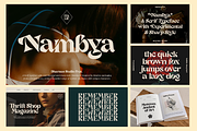 Retro Bundle Collection V2 - 99% OFF, a Serif Font by Dharmas Foundry (Thumbnail 12 of 21)